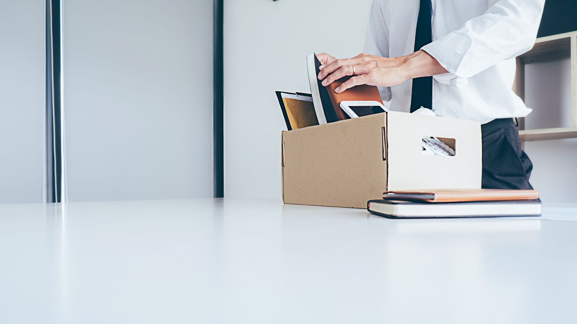 Paradise Valley Wrongful Termination Lawyer